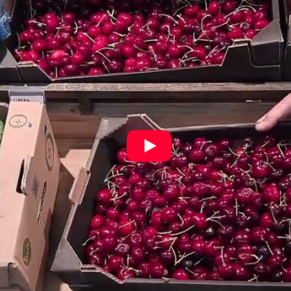 Més parades, més vida, més Mercat de Volpelleres.