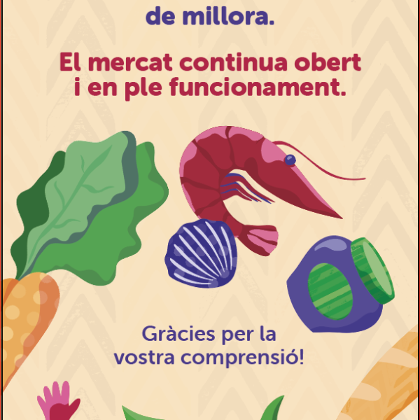 Estem realitzant obres de millora.